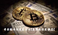 中本聪币到底是什么？是机遇还是骗局？