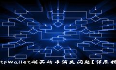 如何解决tpWallet刚买的币消失问题？详尽指南与解