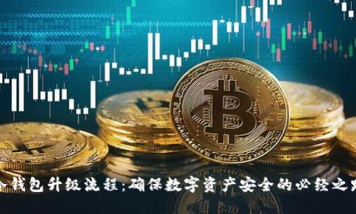 冷钱包升级流程：确保数字资产安全的必经之路