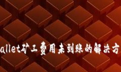 : tpWallet矿工费用未到账的解决方法详解