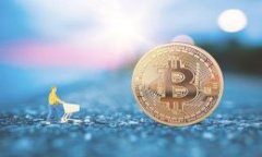 bianoti如何找回卸载的tpWallet软件：完整指南