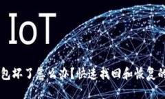 手机冷钱包坏了怎么办？快速找回和恢复的方法