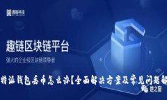 比特派钱包丢币怎么办？全面解决方案及常见问