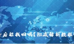 tpWallet删除后能找回吗？彻底解析数据恢复的可能