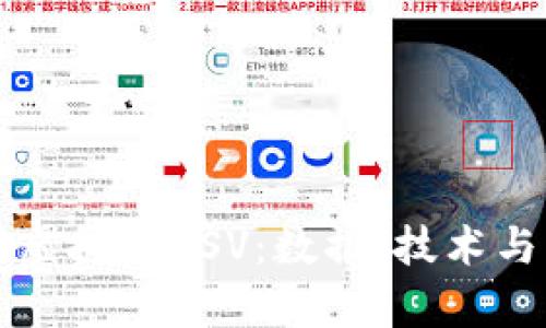 深入解析虚拟币BSV：数据、技术与未来前景