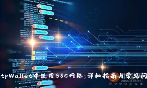 如何在tpWallet中使用BSC网络：详细指南与常见问题解答