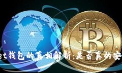 tpWallet钱包的真相解析：是否真的安全可靠？