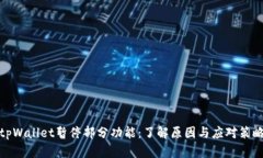 tpWallet暂停部分功能：了解原因与应对策略