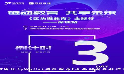 如何通过tpWallet有效囤币？全面解析及技巧分享