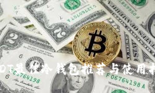USDT最佳冷钱包推荐与使用指南