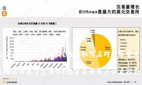 钱包助记词丢了怎么办？教你如何应对数字货币巨变

钱包助记词丢了怎么办？数字货币用户必看指南