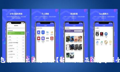 冷钱包转账不出来怎么办？解决方案及注意事项全解析