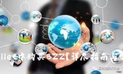 如何在tpWallet中购买BZZ？详尽指南与常见问题解答